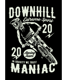 Downhill Maniac Racing